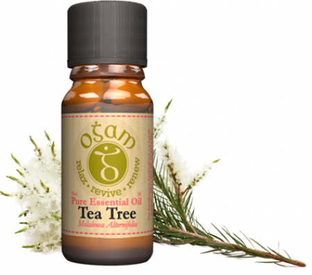 Ogam Tea Tree Essential Oil