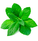 Verset Look This Eau de Parfum (15ml)