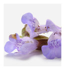 Verset Look This Eau de Parfum (15ml)