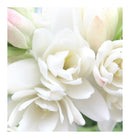 Verset Stone Eau de Parfum (15ml)