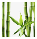 Verset Sensi Piú Eau de Parfum (100ml)