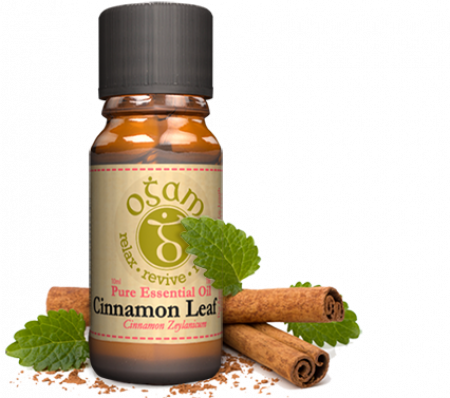 Ogam Essential Oil Cinnamon