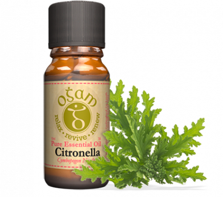 Ogam Essential Oil Citronella