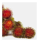 Verset Claudia Eau de Parfum (100ml)