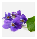 Verset Helena Eau de Parfum (15ml)