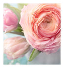 Verset Elle Eau de Parfum (15ml)