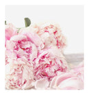 Verset Coquette Eau de Parfum (100ml)