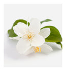 Verset Charm Eau de Parfum (15ml)