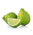 Verset Elle Eau de Parfum (15ml)