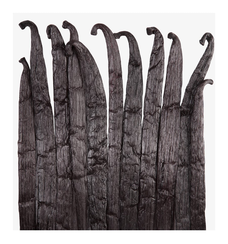 Verset Sofia Eau de Parfum (100ml)