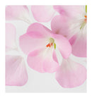 Verset It's Mine Eau de Parfum (15ml)