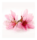 Verset Glam Eau de Parfum (15ml)