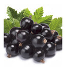 Verset Luz Adriana Eau de Parfum (100ml)