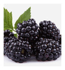 Verset Charm Eau de Parfum (15ml)