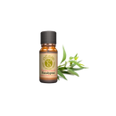 Ogam Essential Oil Eucalyptus